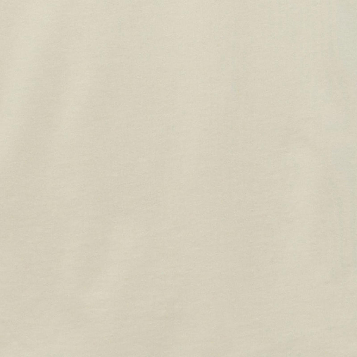 Wrangler Retro Short Sleeve Graphic T-Shirt Regular Fit Western T-Shirts