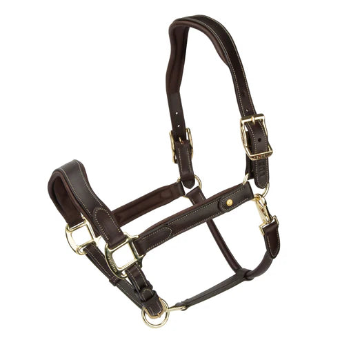 Velociti Lusso Lorca Leather Halter