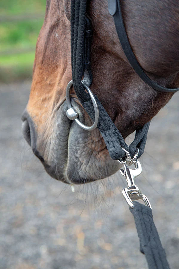 Shires Lunging Adapter