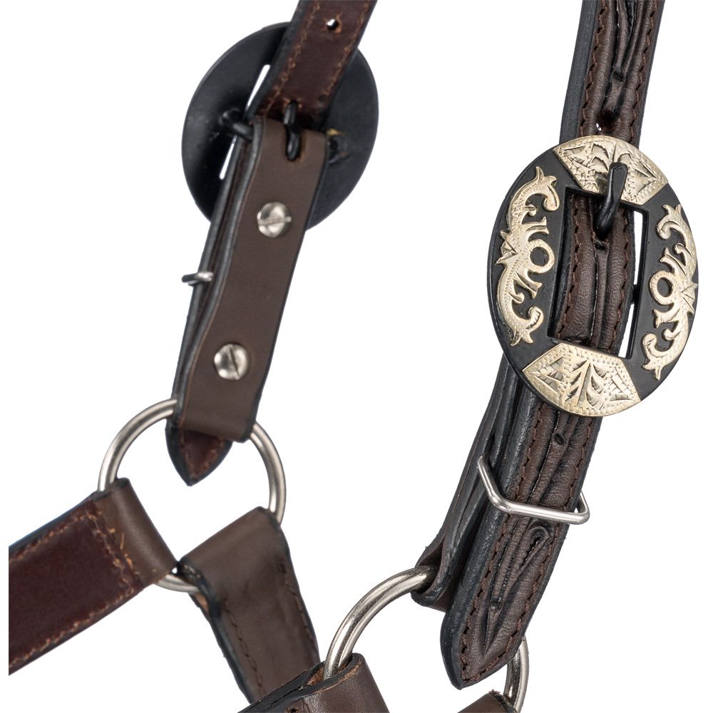Silver Royal Dark Oil Ranch Halter