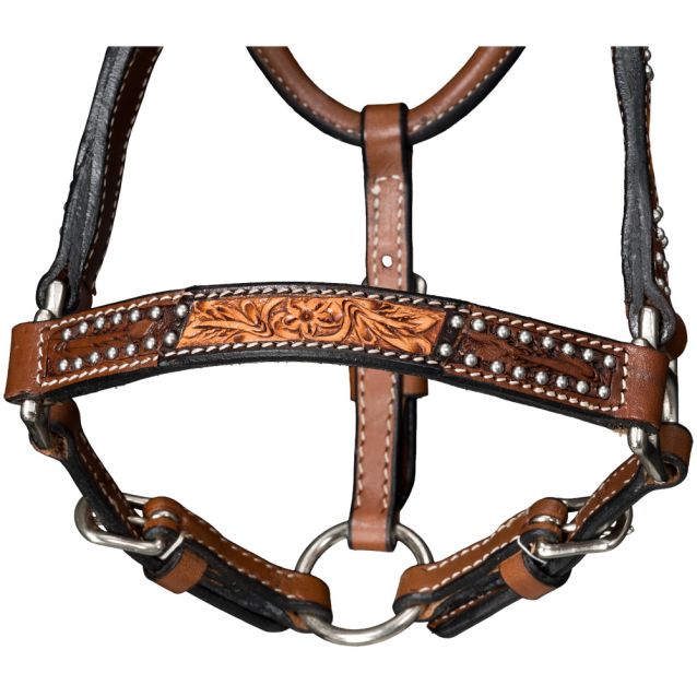 Royal King Mini Cow Puncher Halter with Lead