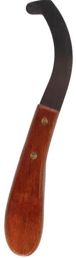 Bot Egg Knife