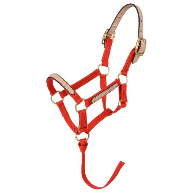 Tough 1 Miniature Nylon Breakaway Halter