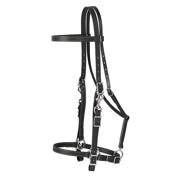 Weaver Trail Gear Halter/Bridle Combo