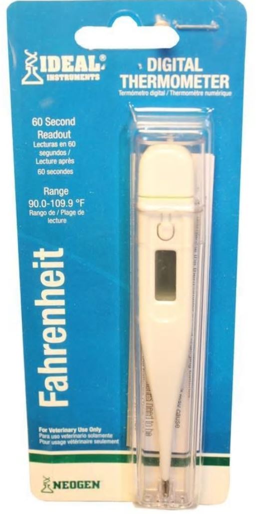Digital Thermometer