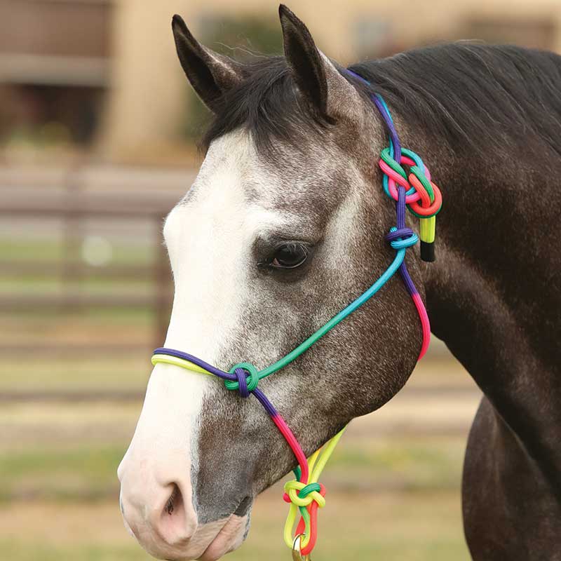 Equi-Sky Rainbow Rope Halter