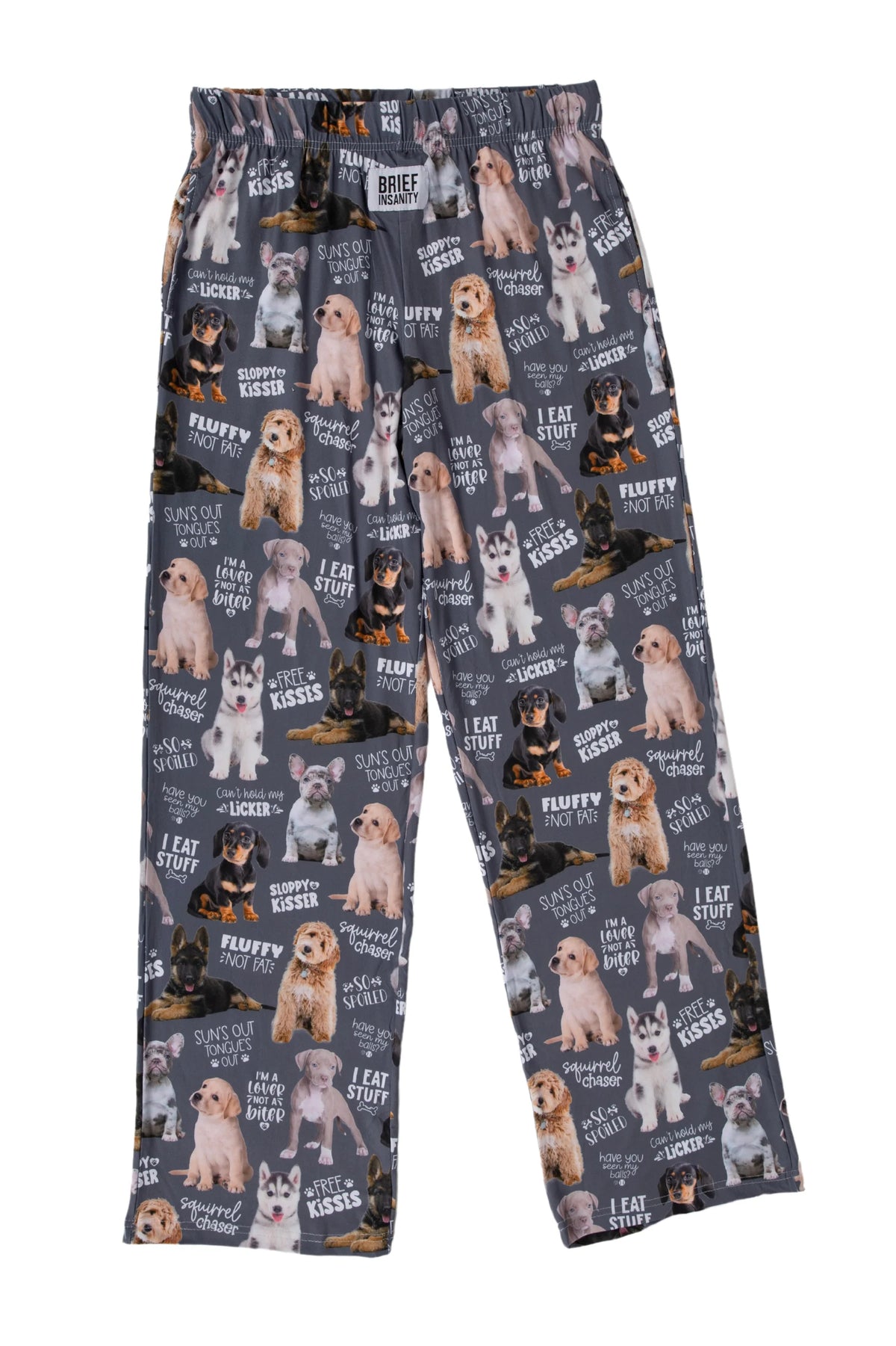 Brief Insanity Chalkboard Dog Lounge Pants