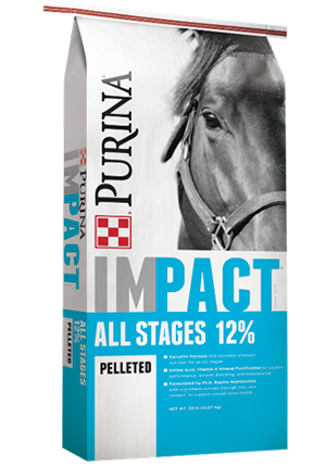 Purina Impact All Stages Pellet 12-6