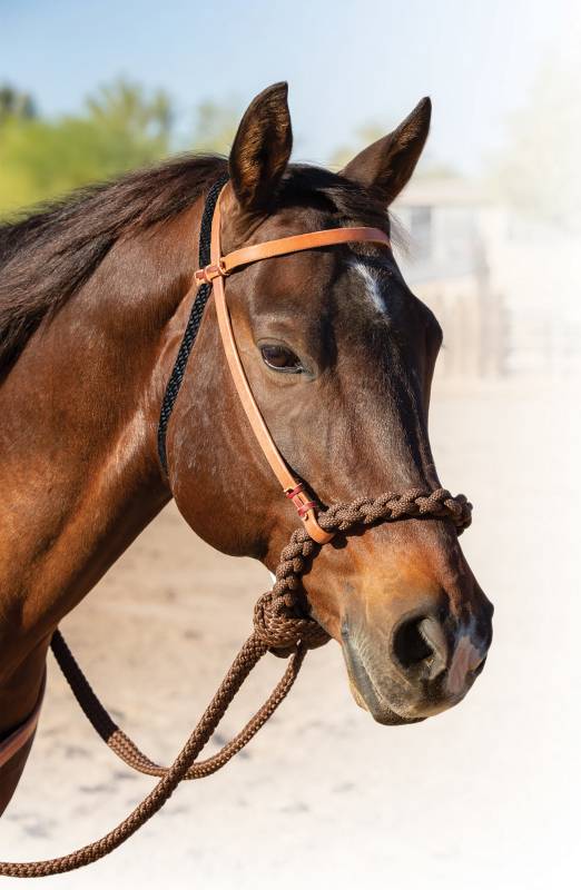 Professional's Choice Loping Hackamore
