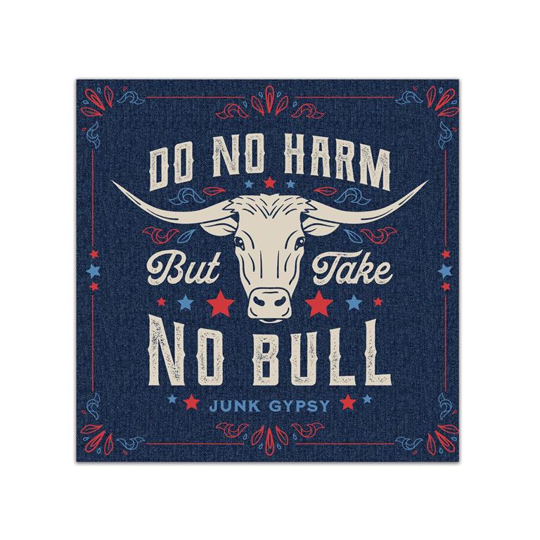 Evergreen Americana BOHO Quick Dry Dish Cloth Take No Bull