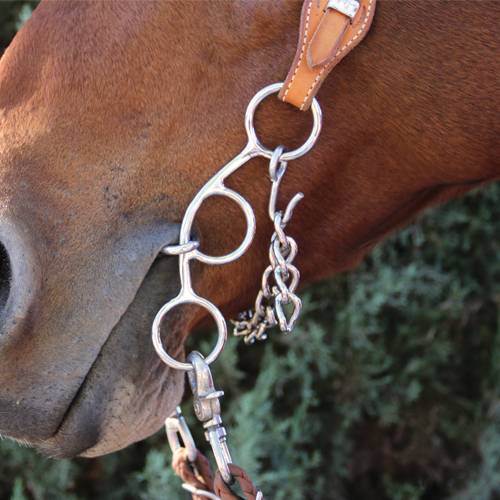 Professional's Choice Futurity Twisted Low Port