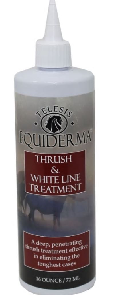 Equiderma Thrush and Whiteline Treatment