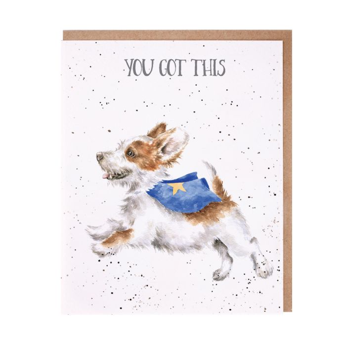 Wrendale Greeting Cards Super Dog Youve Got This