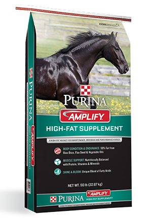 Purina Amplify High-Fat Horse Supplement
