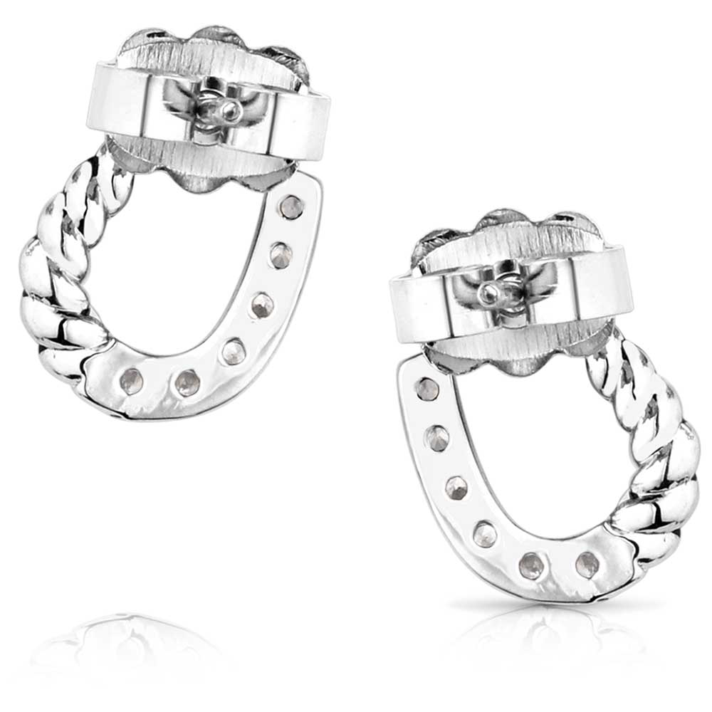 Montana Frosted Luck Crystal Earrings