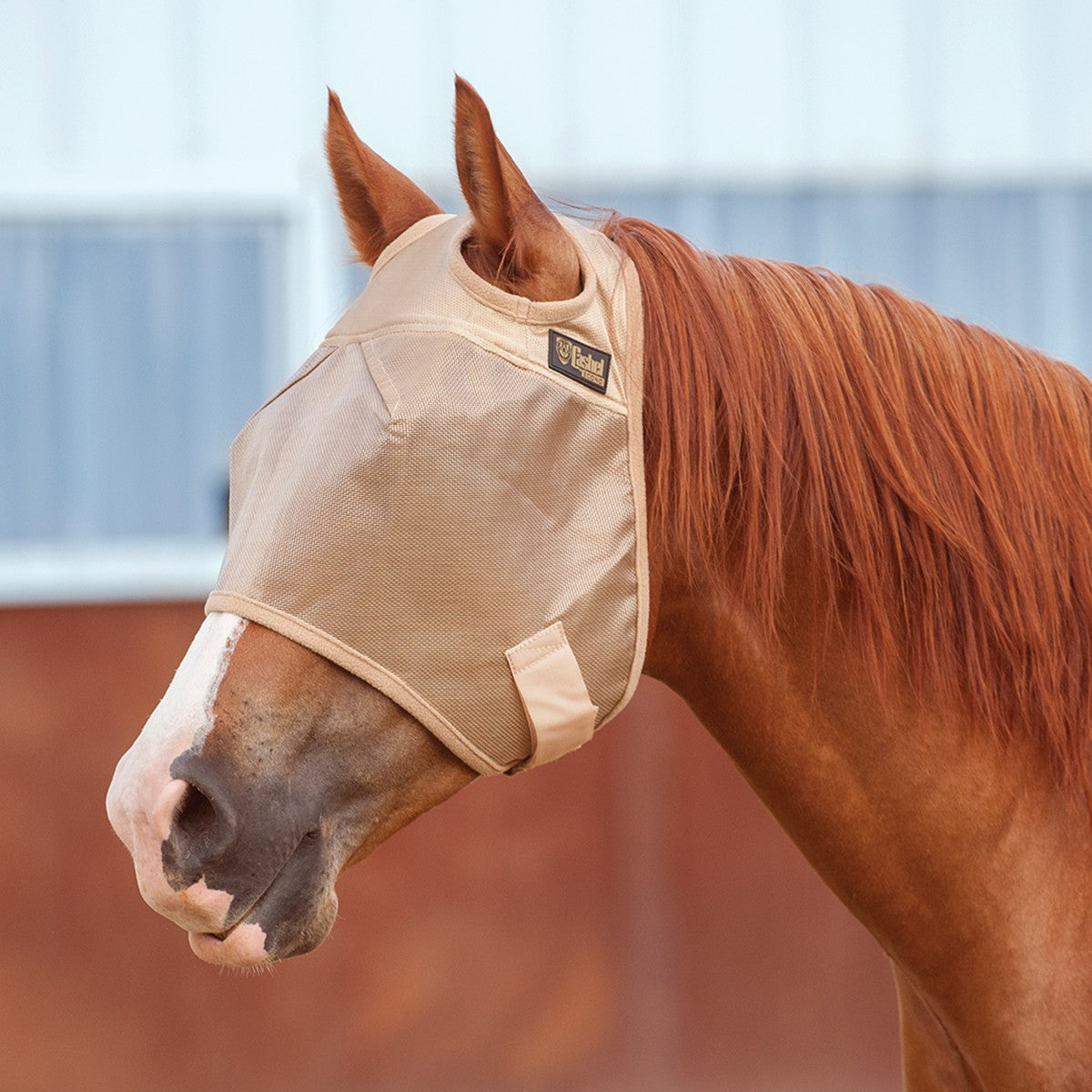 Cashel Econo Fly Mask Standard