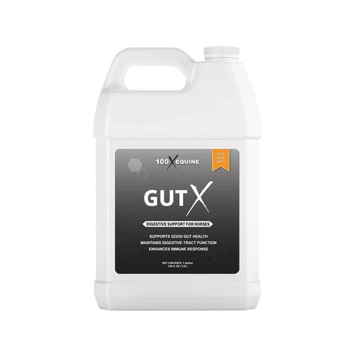 Gut X