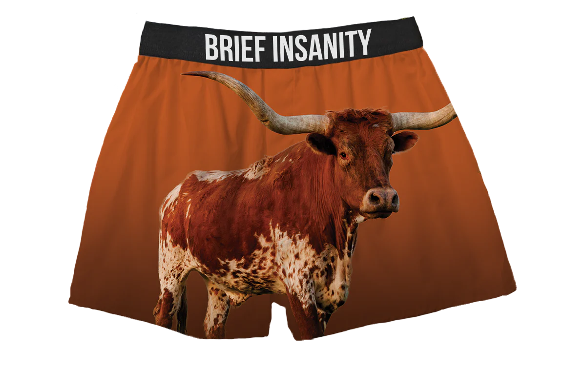 Brief Insanity Longhorn Orange Boxers
