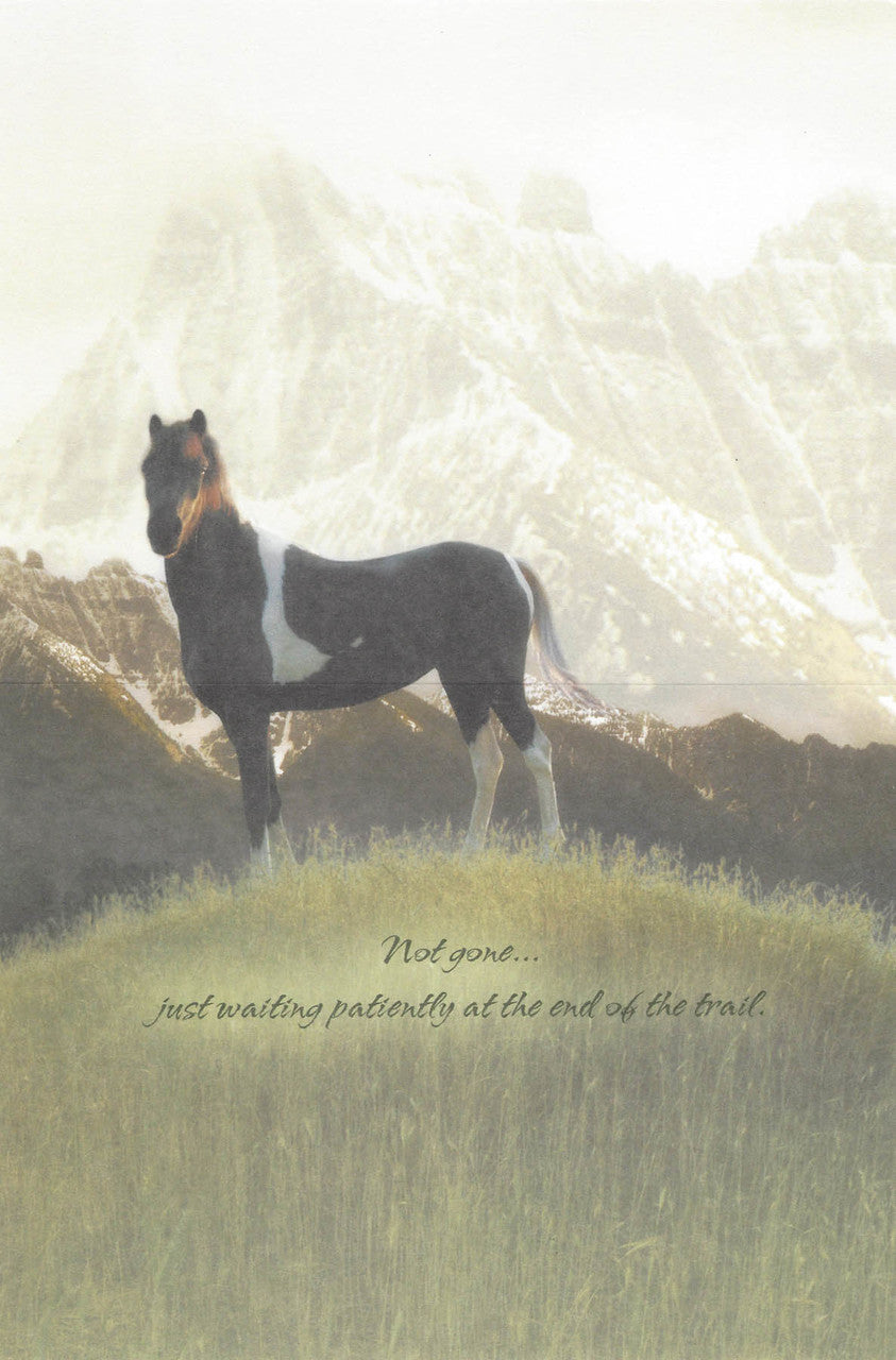 Leanin Tree With Sympathy Horse