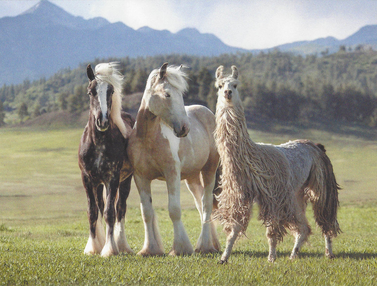 Leanin Tree Two Horses and Llama Card