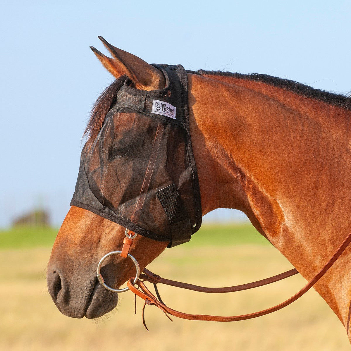 Cashel Quiet Ride Fly Mask Standard