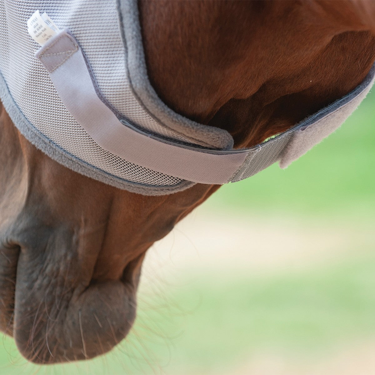 Cashel Flymask Gray Hook and Loop Extender