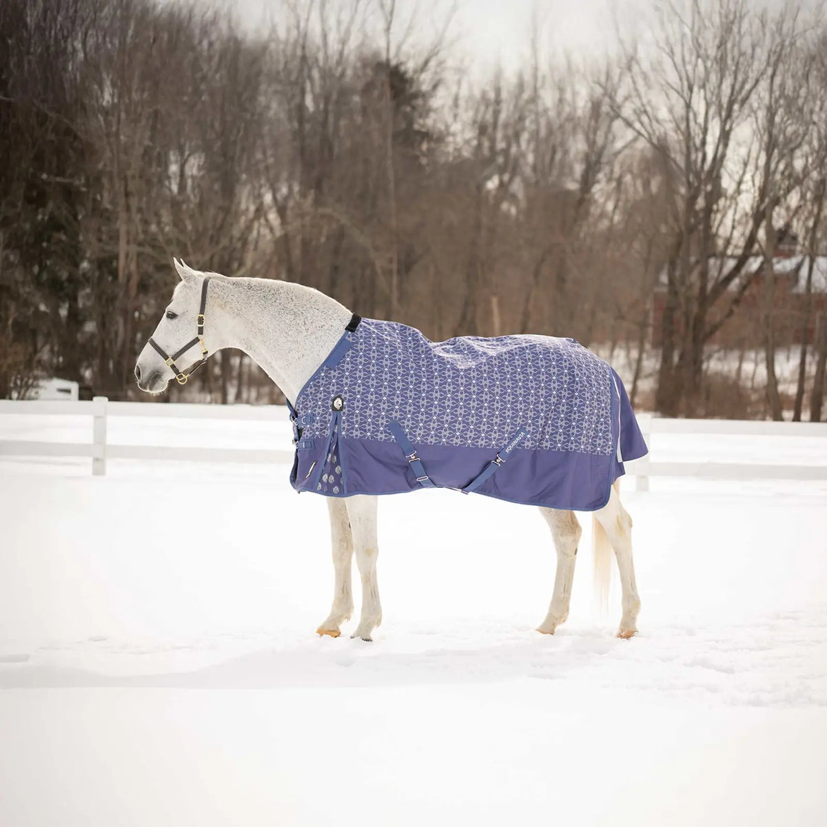 Equinavia Arktis Regular Neck Turnout Blanket 200G