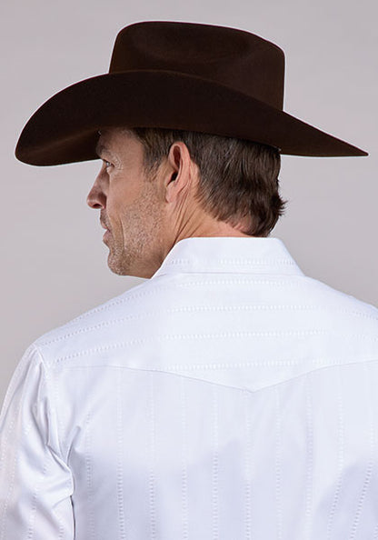 Roper Tonal Stripe Long Sleeve Snap Shirt