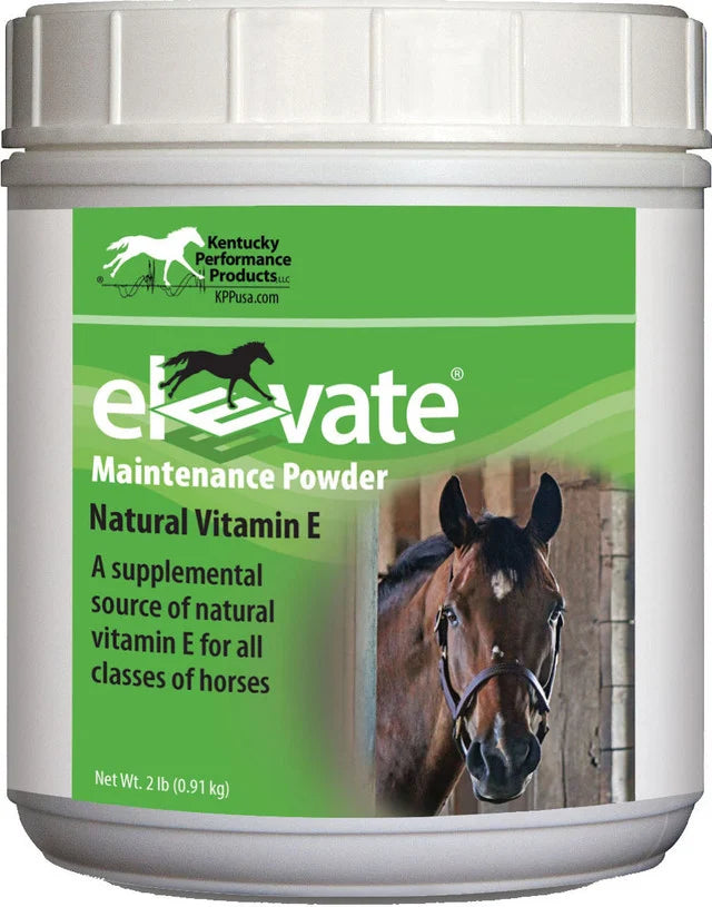 KPP Elevate Maintenance Powder