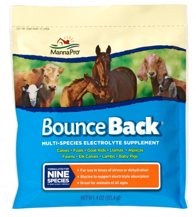 Manna Pro Bounce Back Electrolyte Supplement