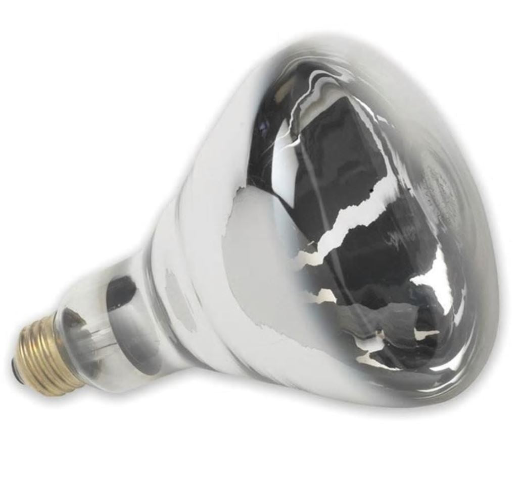 Clear Heat Lamp Bulb