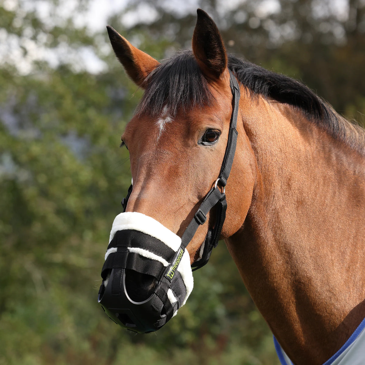 FreeGraze Airflow Grazing Muzzle