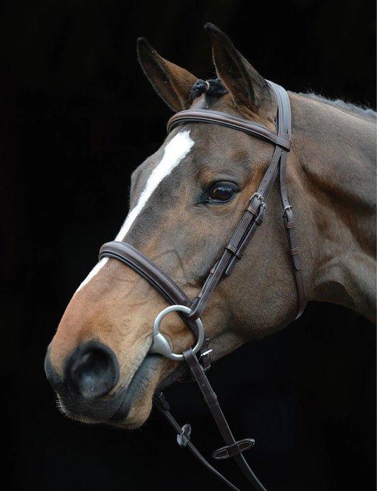 Collegiate Comfort Crown Padded Raised Cavesson Bridle Brown