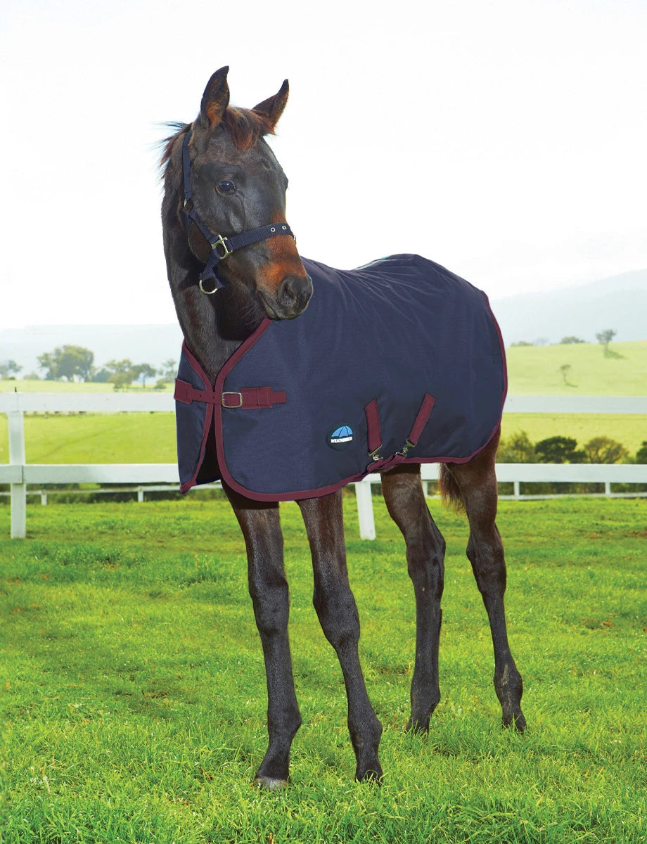 Weatherbeeta 1200D Foal Standard Neck 220G Navy/Burgundy