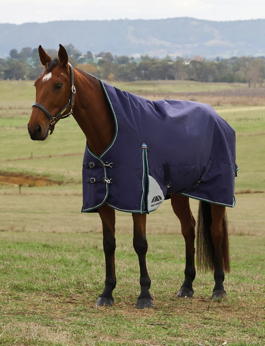 Weatherbeeta ComFiTec Plus Dynamic Turnout High Neck Navy/Forest Green