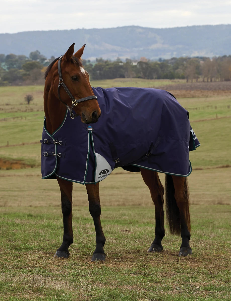 Weatherbeeta ComFiTec Plus Dynamic Turnout High Neck Navy/Forest Green