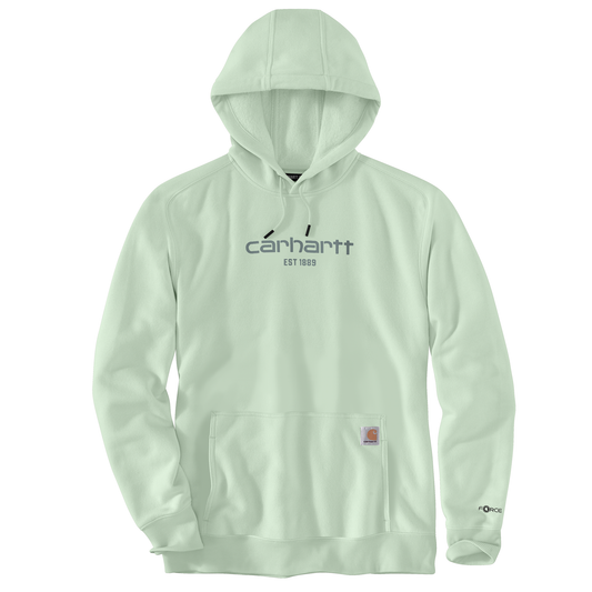 Carhartt Force Lightweight Hoodie Big Sky