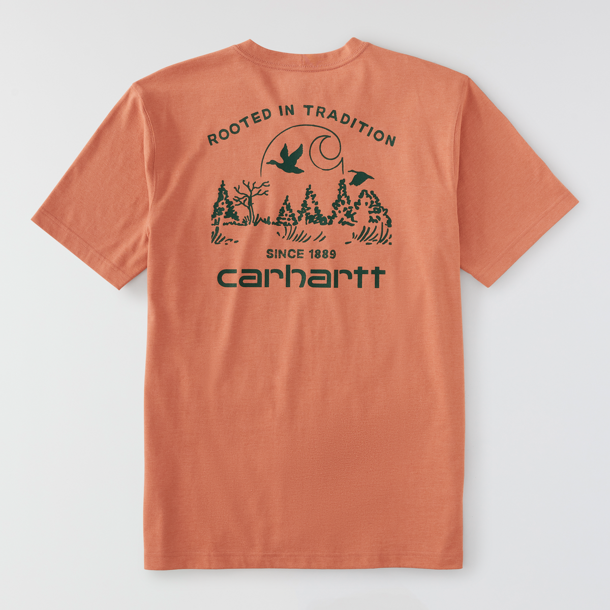 Carhartt Irvine Relaxed Duck Landscape Graphic T-Shirt Worn Brick Heather