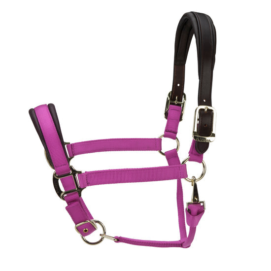 ARMA Premium Nylon Halter with Leather Padding