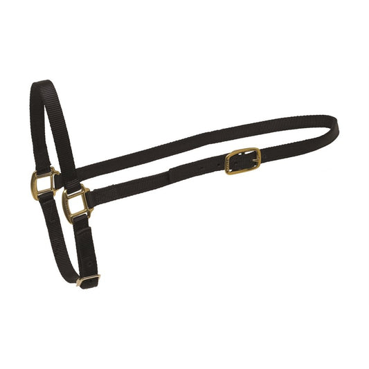 Perri's Black Nylon Grooming Halter