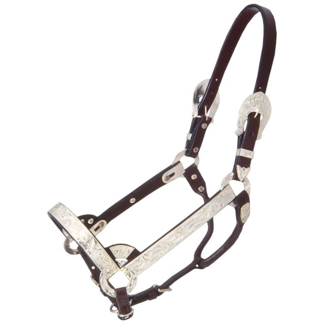 Royal King Silver Show Halter Dark Oil