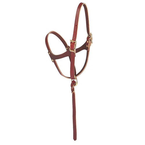 Weaver Leather Figure 8 Foal/Suckling Halter