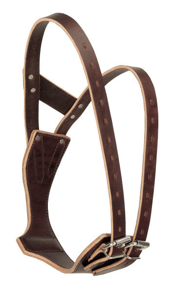 Weaver Miracle Collar Havana