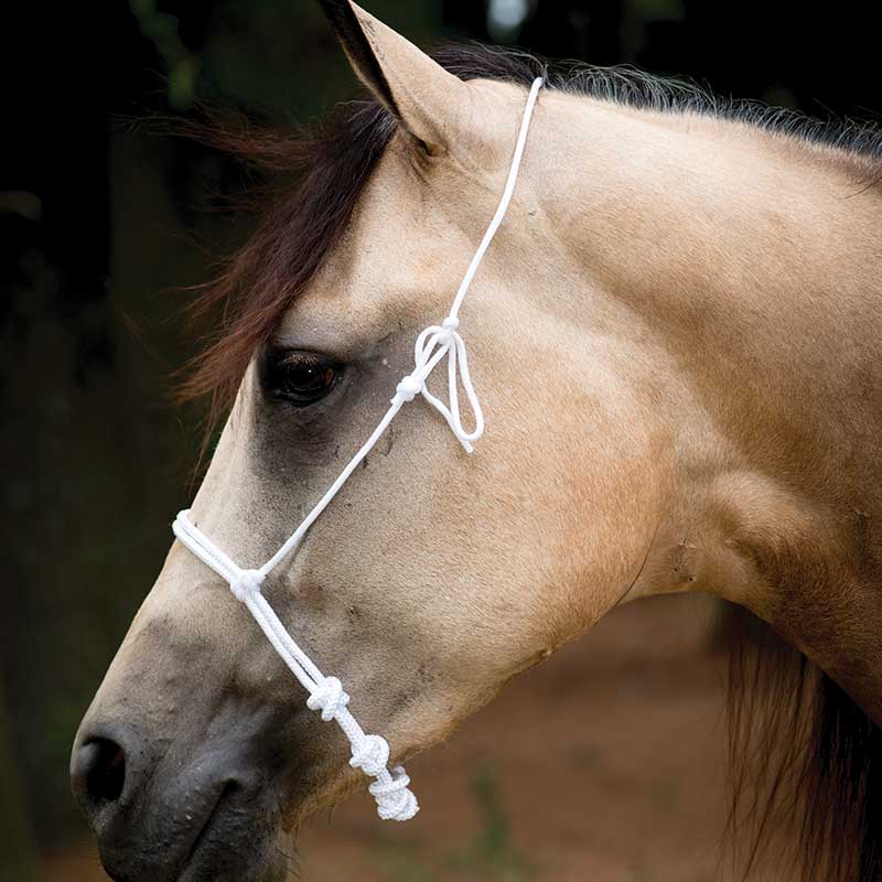 Cowboy Tack Francois Gauthier White Rope Noseband
