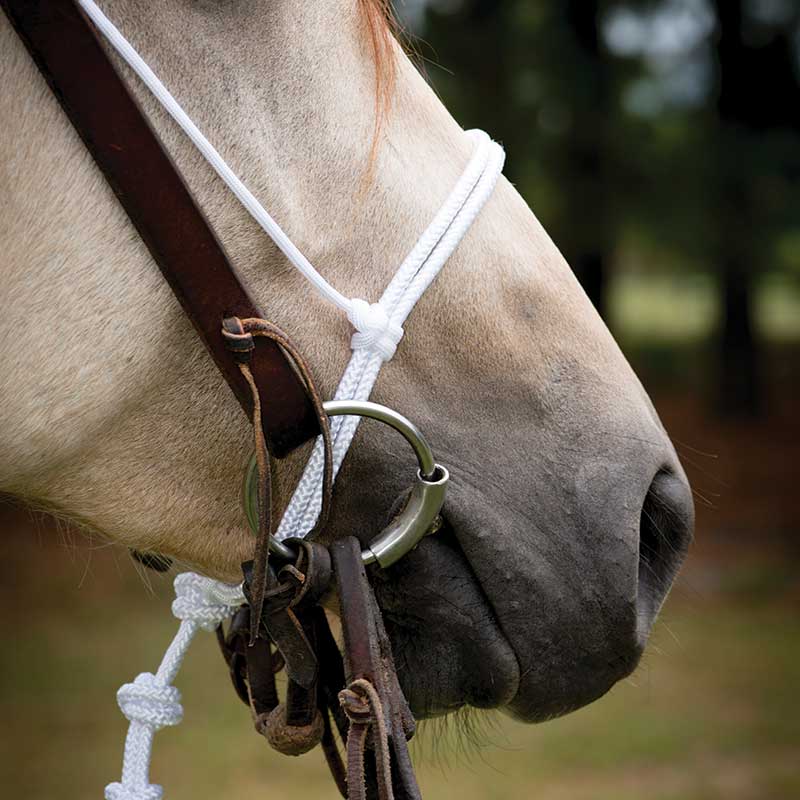Cowboy Tack Francois Gauthier White Rope Noseband