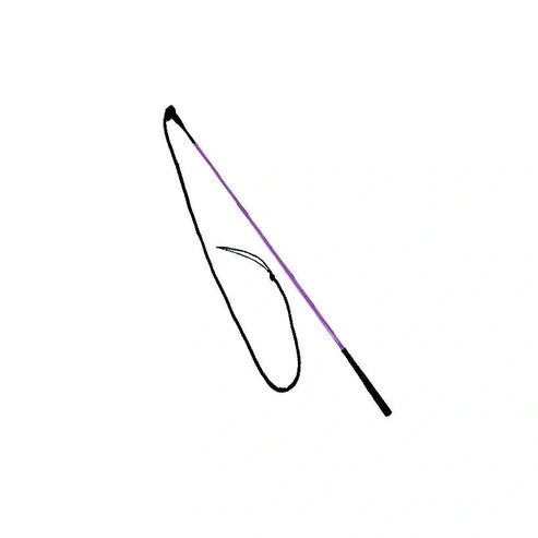 Epic Animal Training Stick and String
