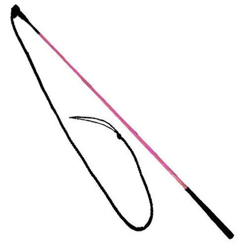 Epic Animal Training Stick and String