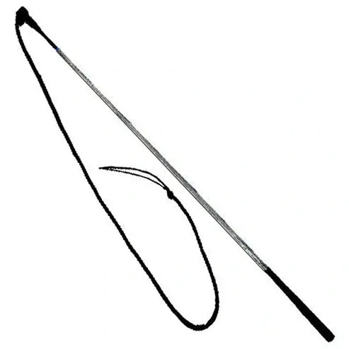 Epic Animal Training Stick and String