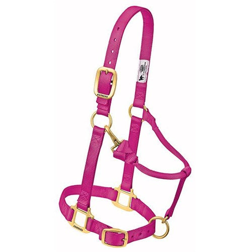 Weaver Adjustable Chin Throat Snap Halter 3/4" Weanling/Pony