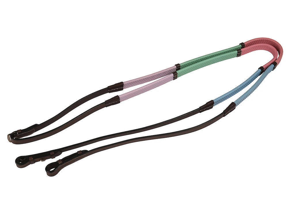 Pastel Rainbow Reins